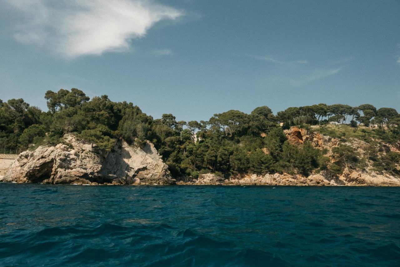 Exclusive Waterfront Villa - Cote Dazur Le Pradet Exteriör bild
